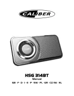 Caliber HSG 314BT Manual предпросмотр