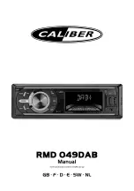 Caliber RMD 049DAB Manual предпросмотр