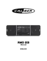 Caliber RMD 213 Manual preview