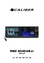 Caliber RMD 404DAB-BT Manual preview