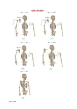 Preview for 5 page of Calico Craft Parts FREE STANDING SKELETON Assembly Instructions Manual