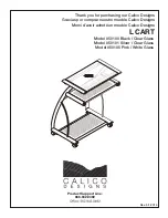 CALICO DESIGNS 50100 Assembly Instructions Manual preview
