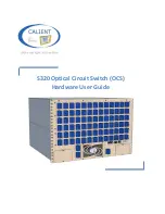 CALIENT S320 Hardware User'S Manual preview