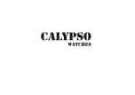 Предварительный просмотр 19 страницы Calypso Watches Digital IKMRT010 Instruction Manual