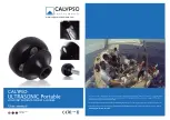 Calypso Ultrasonic Portable User Manual preview