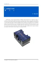 Preview for 5 page of Cambricon MLU290-M5 Product Manual