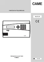 Предварительный просмотр 37 страницы CAME 846NC-0140 Configuration Manual