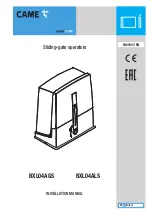 Preview for 1 page of CAME BXL04AGS Installation Manual