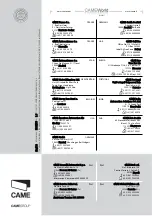 Preview for 20 page of CAME RADIO COMMANDS Series Installation Manual