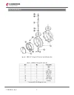 Предварительный просмотр 3 страницы Cameron Demco Installation, Operation & Maintenance Manual