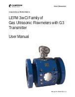 Cameron LEFM 380Ci User Manual предпросмотр