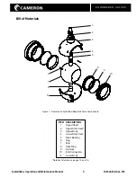 Preview for 3 page of Cameron TYPE 31 Installation, Operation And Maintenance Manual