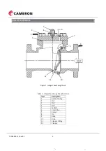 Предварительный просмотр 3 страницы Cameron WHEATLEY 500 Series Installation, Operation And Maintenance Manual