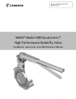 Cameron WKM MB Installation, Operation And Maintenance Manual preview