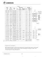 Preview for 10 page of Cameron WKM MB Installation, Operation And Maintenance Manual