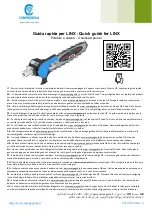 Preview for 1 page of CAMPAGNOLA LYNX Quick Manual