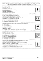 Предварительный просмотр 2 страницы CAMPAGNOLA PONY PRO Use And Maintenance Manual