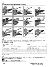 Preview for 255 page of CAMPAGNOLA SPEEDY Use And Maintenance Manual