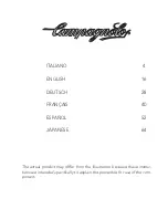 Preview for 3 page of CAMPAGNOLO Brakes User Manual