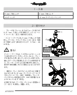 Preview for 67 page of CAMPAGNOLO Brakes User Manual