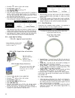 Preview for 35 page of Camus Hydronics VTech 0080 Installation And Service Manual