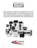 Preview for 49 page of Camus Hydronics VTech 0080 Installation And Service Manual