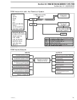 Preview for 183 page of Can-Am DS 450 2008 Shop Manual