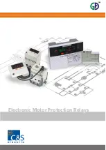 C&S Electronics CSMPA22-2S Manual preview