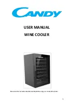 Предварительный просмотр 1 страницы Candy CWC 021 MK User Manual