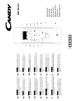 Preview for 1 page of Candy MIC 202 EX Quick Start Manual