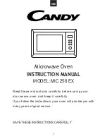 Предварительный просмотр 2 страницы Candy MIC 256 EX User Instructions