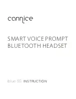 CANNICE iblue 5S Instruction preview