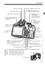 Предварительный просмотр 17 страницы Canon 3818B002 - Rebel T1i 15.1 MP Digital SLR Instruction Manual