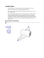 Предварительный просмотр 29 страницы Canon BJC7000 Series User Manual