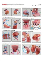 Preview for 2 page of Canon Creative Park Hippopotamus Assembly Instructions