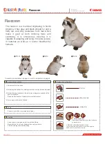 Preview for 1 page of Canon Creative Park Raccoon Quick Start Manual