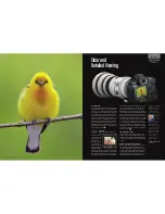 Preview for 19 page of Canon EOS-1D Mark IV Brochure