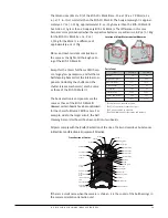 Предварительный просмотр 20 страницы Canon EOS 1Ds Mark III White Paper