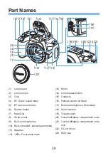 Предварительный просмотр 28 страницы Canon EOS 250D Advanced User'S Manual