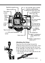 Предварительный просмотр 7 страницы Canon EOS 300x Instruction Manual