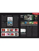 Предварительный просмотр 4 страницы Canon EOS 7D Mark II (G) Brochure