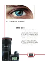 Предварительный просмотр 1 страницы Canon EOS D60 Brochure & Specs