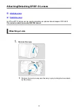 Предварительный просмотр 61 страницы Canon EOS R6 Advanced User'S Manual