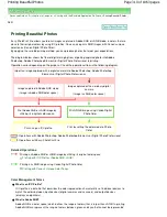 Preview for 310 page of Canon MG6100 SERIES On-Screen Manual