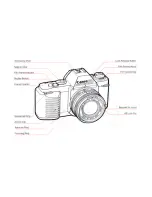 Предварительный просмотр 3 страницы Canon T50 Instructions Manual