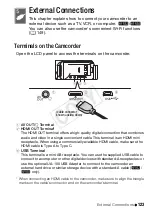 Preview for 123 page of Canon VIXIA HF R30 Instruction Manual