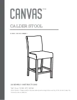 Canvas 168-0039-2 Assembly Instructions Manual preview