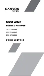 Canyon Badian CNS-SW68 Quick Manual предпросмотр