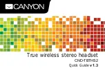 Preview for 1 page of Canyon CND-TBTHS2 Quick Start Manual