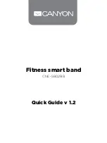 Preview for 1 page of Canyon CNE-SB02BB Quick Manual